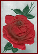 Rose rouge sur fond argent&eacute; pour vos pens&eacute;es